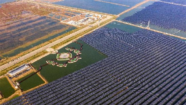 通威東營漁光一體生態(tài)園