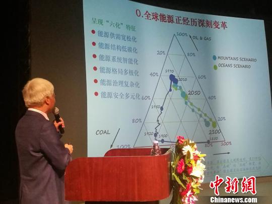 《中國分布式能源前景展望》報告華南發(fā)布會現(xiàn)場 鄭小紅 攝